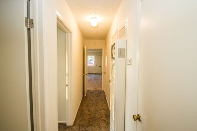 Building Photo - Charming Light Filled Ventura 2 Bd Cottage...