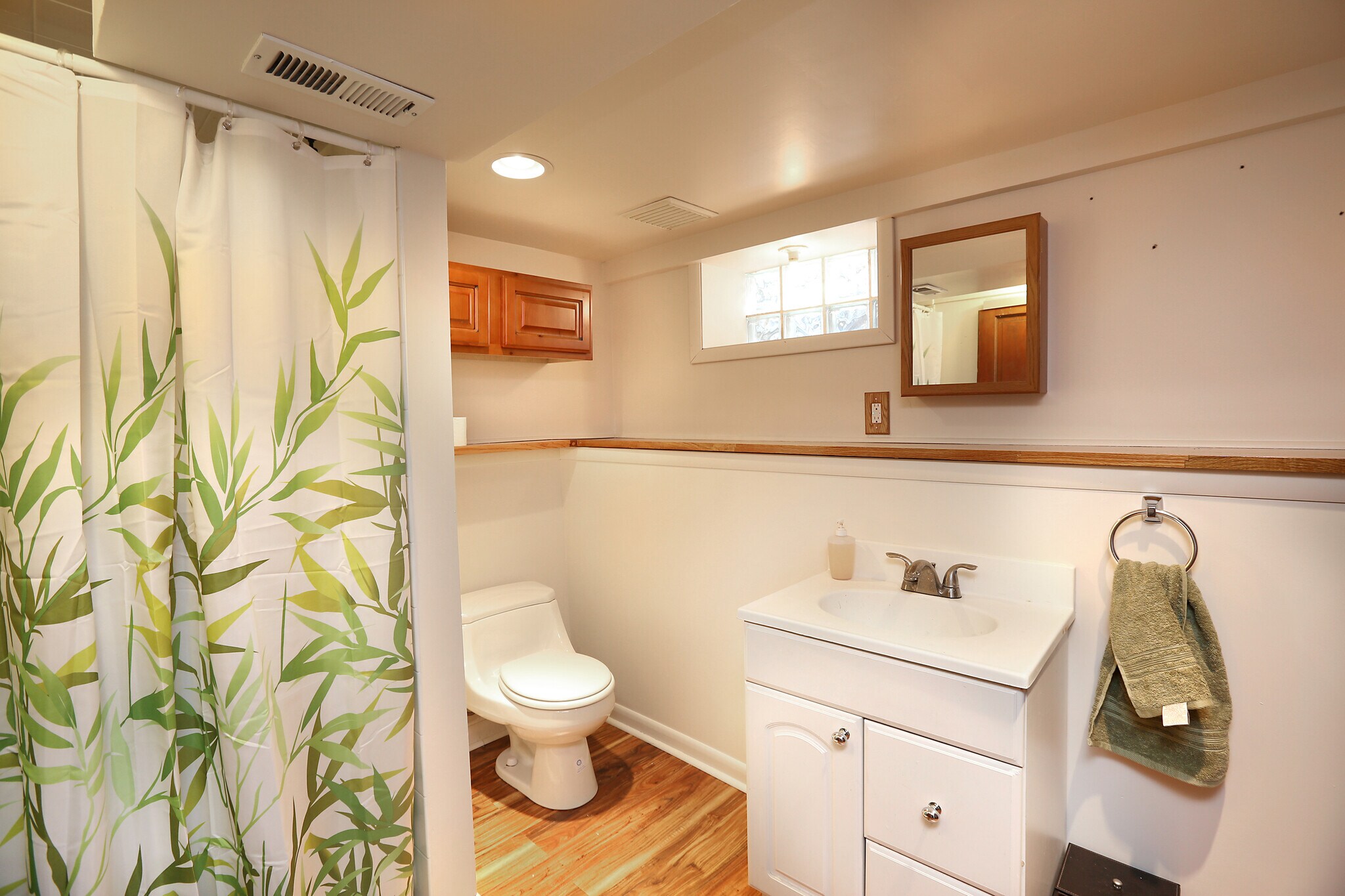 Downstairs Bathroom - 1655 S Corona St