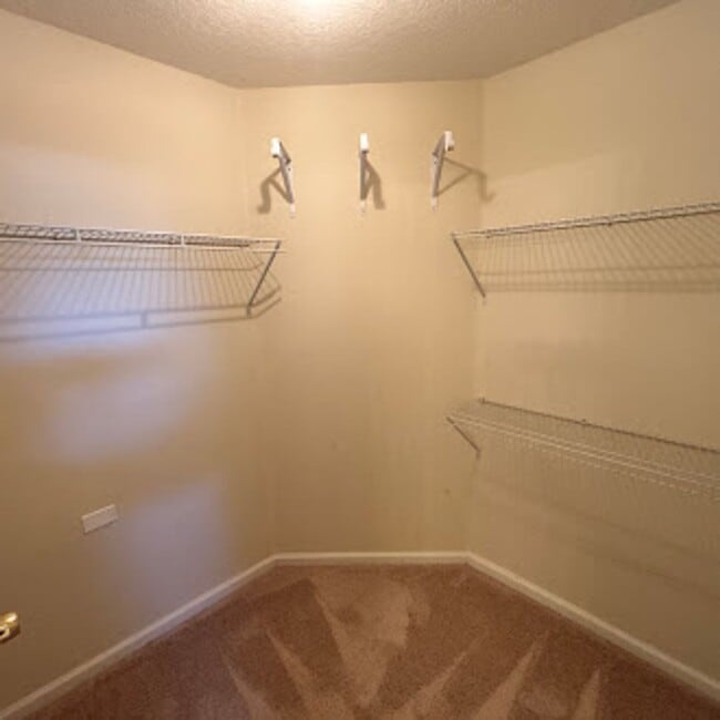 Building Photo - Spacious 3-Bed, 2-Bath Home. Patio. Amenities. Located just minutes from St Johns Town Center and...