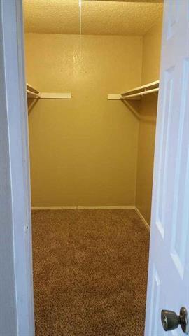 Building Photo - 2446 Buffalo Gap Rd