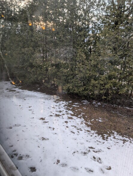 Building Photo - 61 Paine Ave