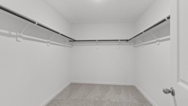 Building Photo - 3515 Adelie Ln