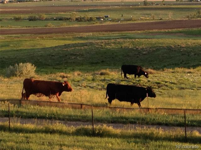 Building Photo - 2181 Sunridge Cir