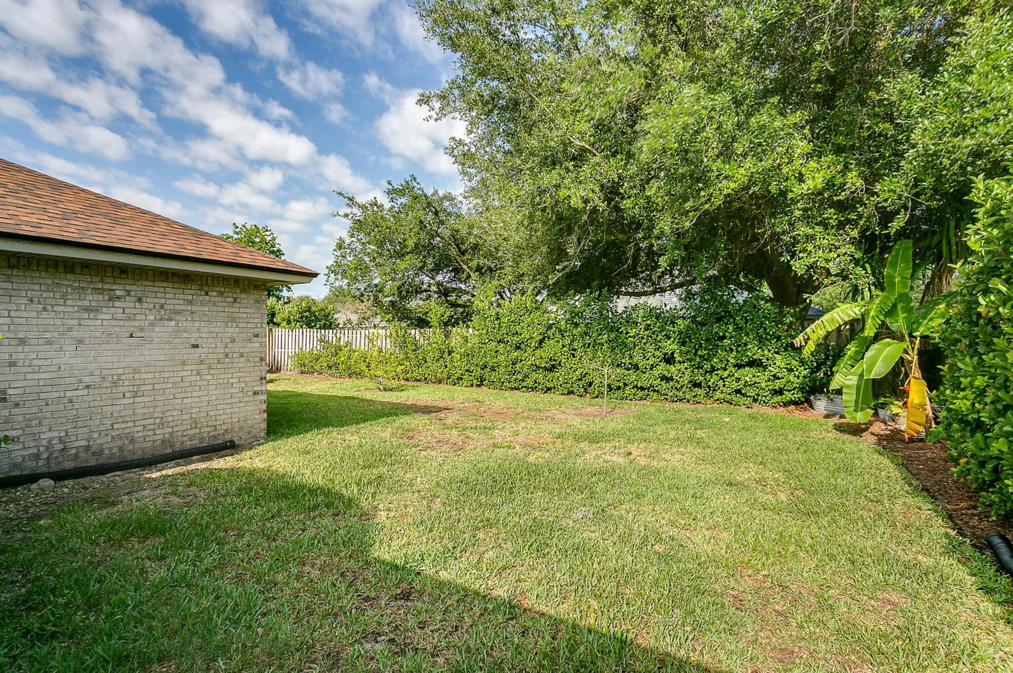 Huge back yard with privacy hedges - 4430 Autumn River Rd E