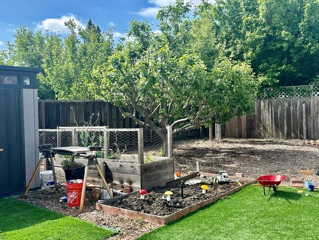 Building Photo - Palo Alto Dream Rental with Backyard Parad...