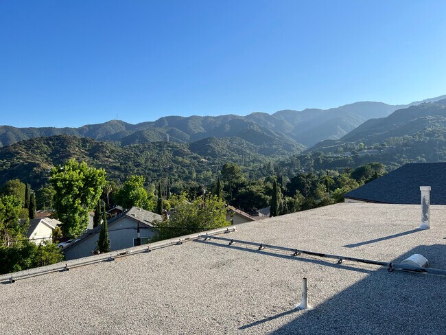 View from the building - 3010 Montrose Ave