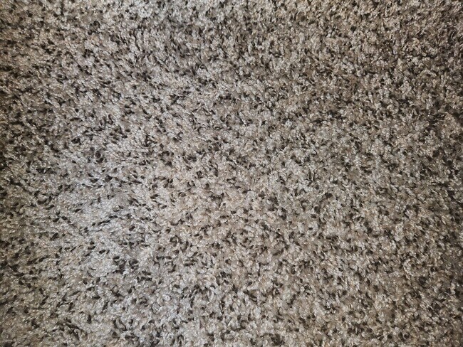 Building Photo - 3 Bedroom in Wildhorse Subdivision