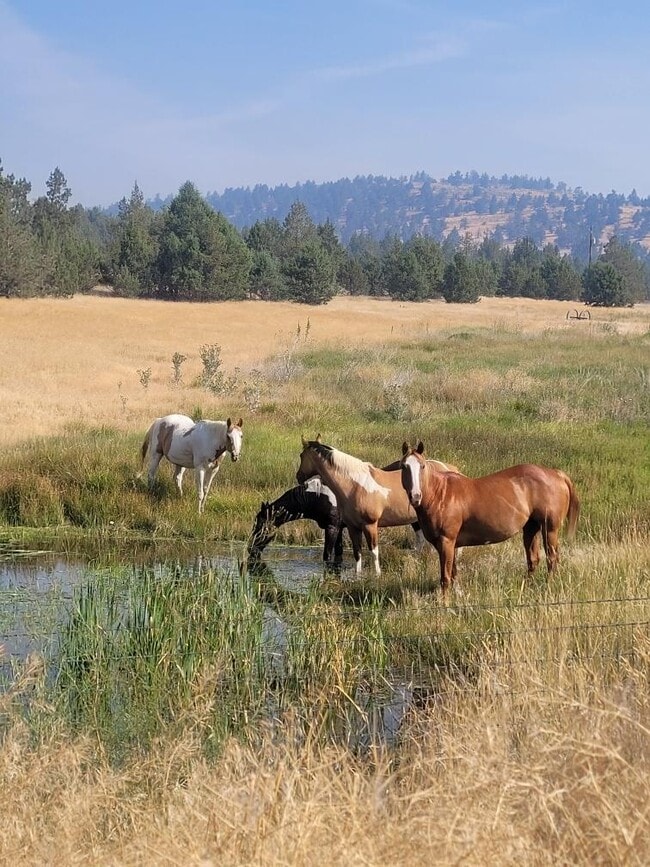 Building Photo - 23131 N Poe Valley Rd