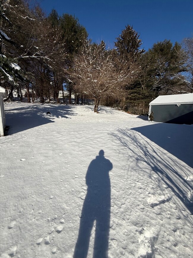 Building Photo - 27 Alpine Dr