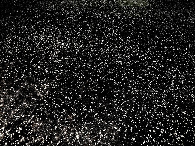 Building Photo - 15218 Falcon Ridge Dr