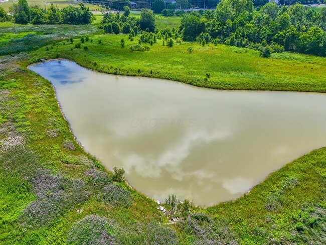 Building Photo - 3622 Switchgrass Ct