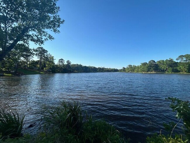 Building Photo - Lakeside Dream Home: Fully Remodeled 4BD/2BA Near Loop 323