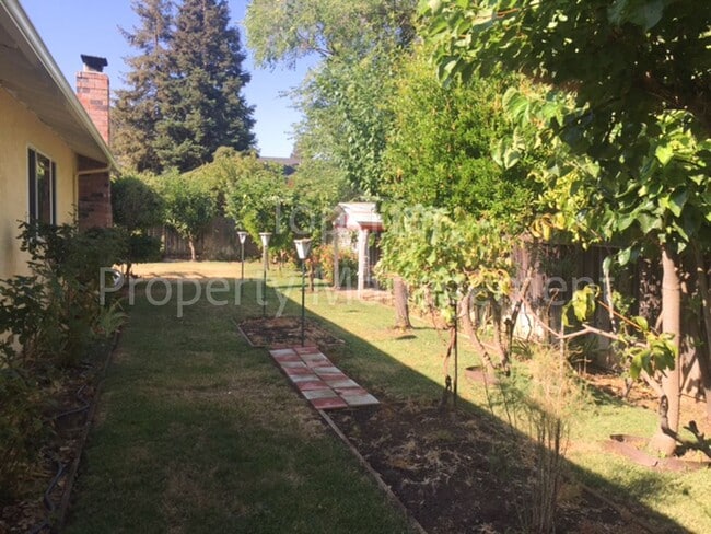 Building Photo - Very nice 3 Bd/2 Ba, 1388 sf single-family house in Concord available Now for Lease!