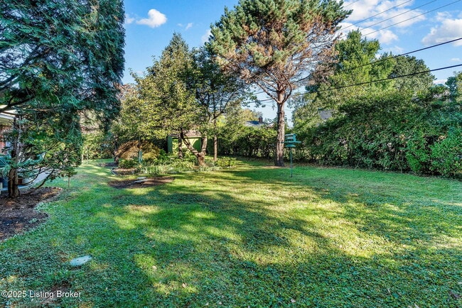 Building Photo - 1515 Vivian Ln