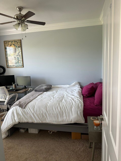 Bedroom 2/ Office - 953 Ingleside Ave