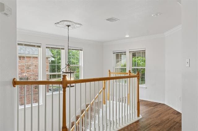 Building Photo - 4816 Rockcreek Ln