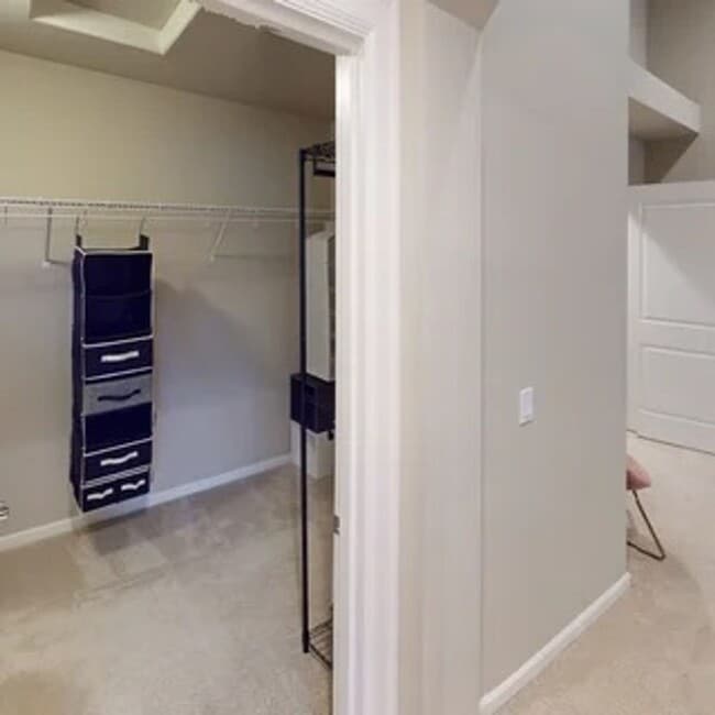 Building Photo - This Shy Creek Neighborhood 4 bed, 3 bath home has abundant space with a functional layout.