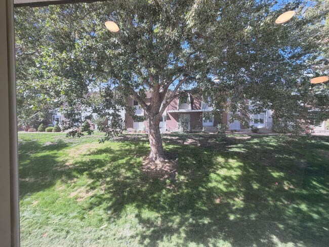 Building Photo - 529 S Xenon Ct