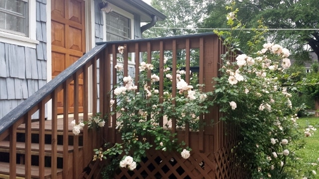 Building Photo - 135 Marble Mill Rd NW