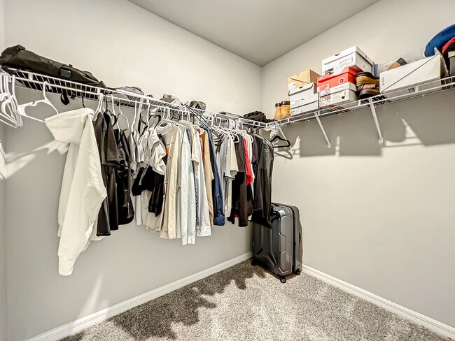 Building Photo - 2362 Brassie Ct