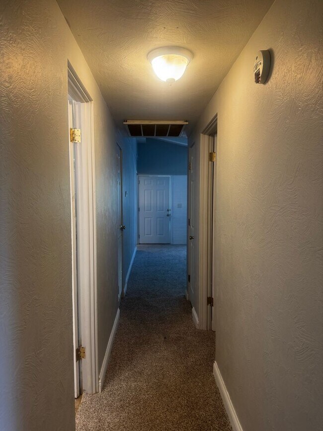 Building Photo - 313 S Birchlane Dr