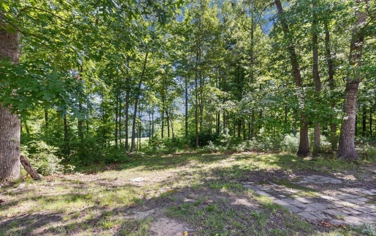 Building Photo - 7319 Vicenzo Dr