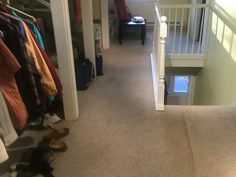 Building Photo - 27 Albion St