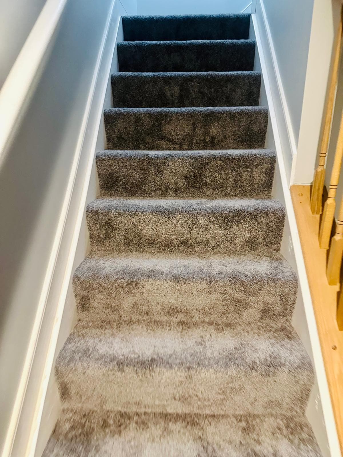 Stairs - 13019 Torchlight Dr