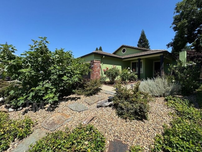 Building Photo - 301 Brimfield Ct