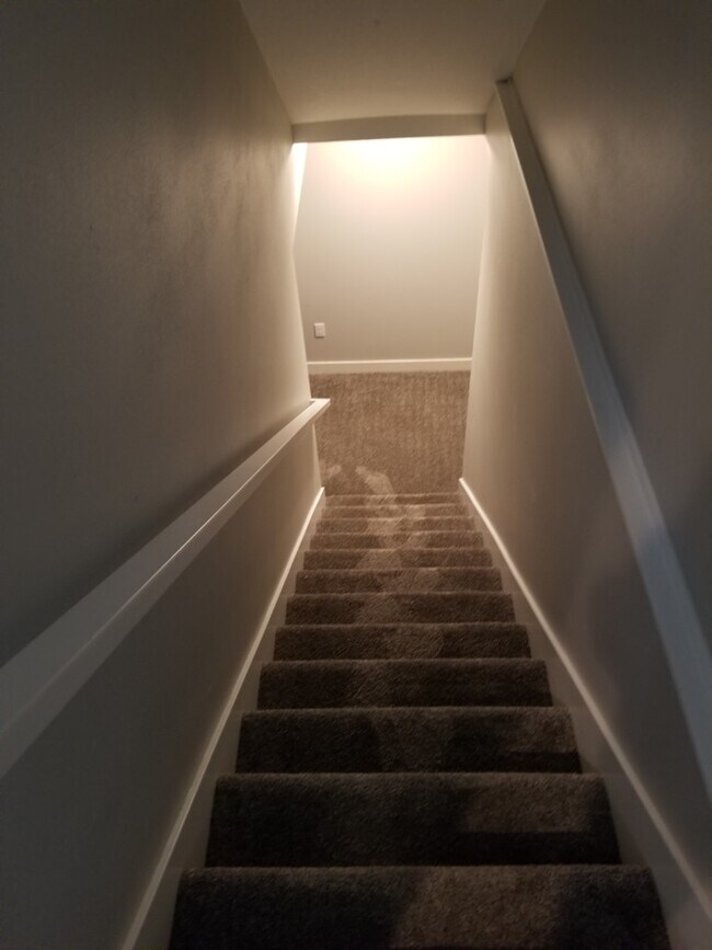 basement stairs - 1036 66th St