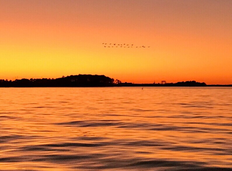 Building Photo - 462 Wind Mill Point Rd