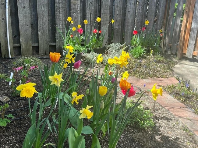 Building Photo - Unfurnished Two bedroom, Two bath Ground Floor Townhouse | Available June