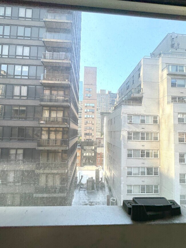 Building Photo - 330 E 49th St