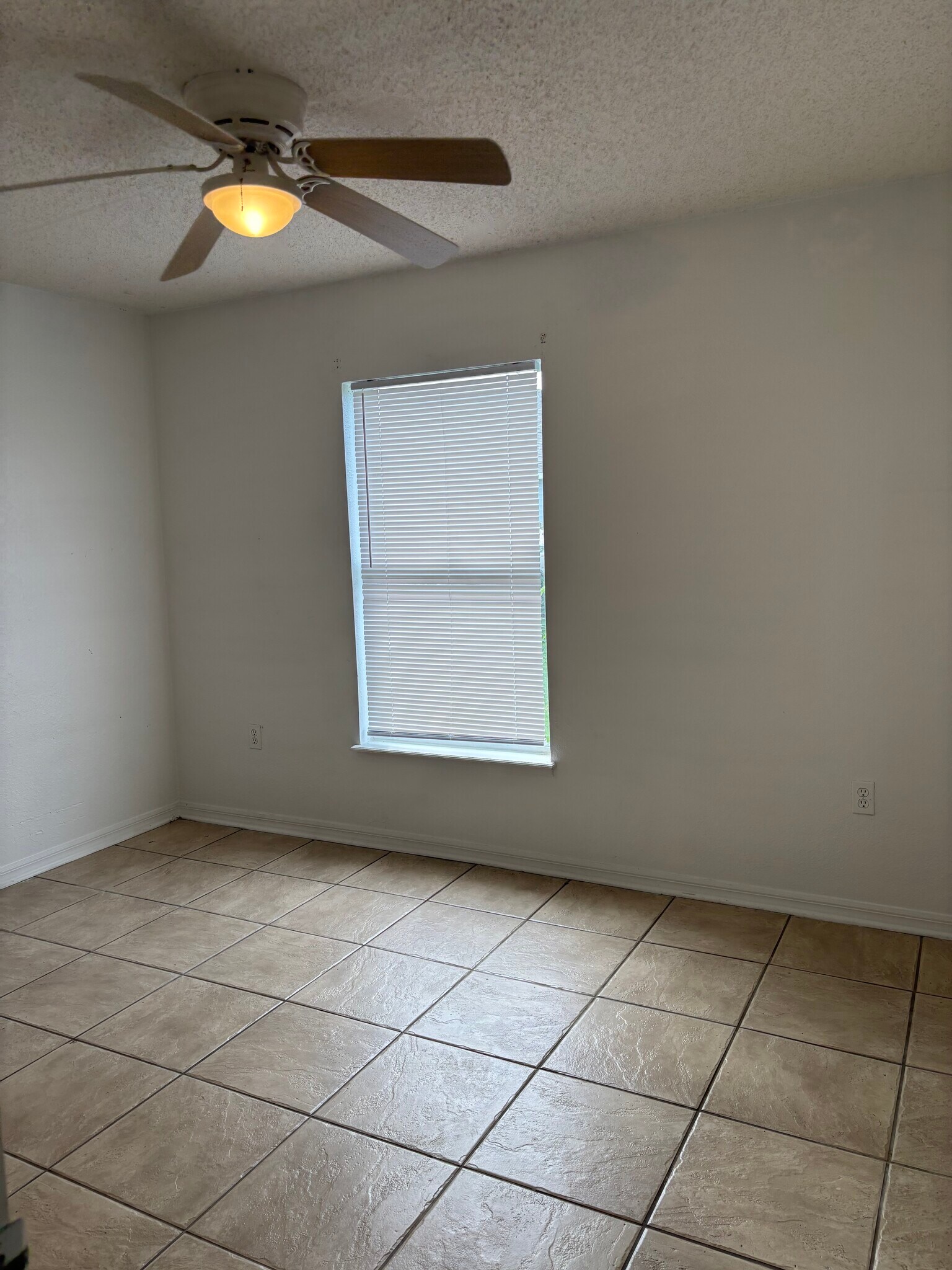 Building Photo - 305 Cocoa Ct
