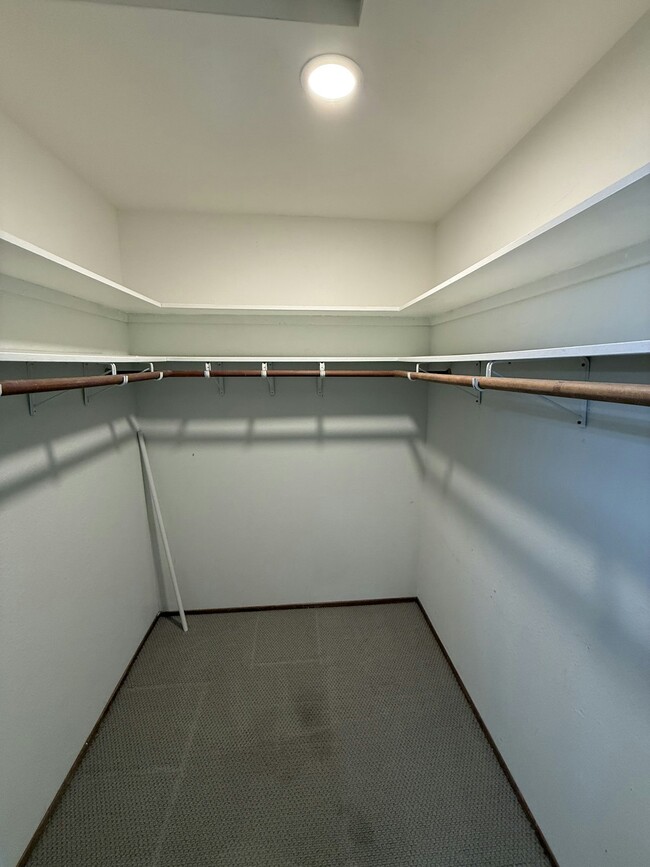 Building Photo - 1255 Detroit Ave