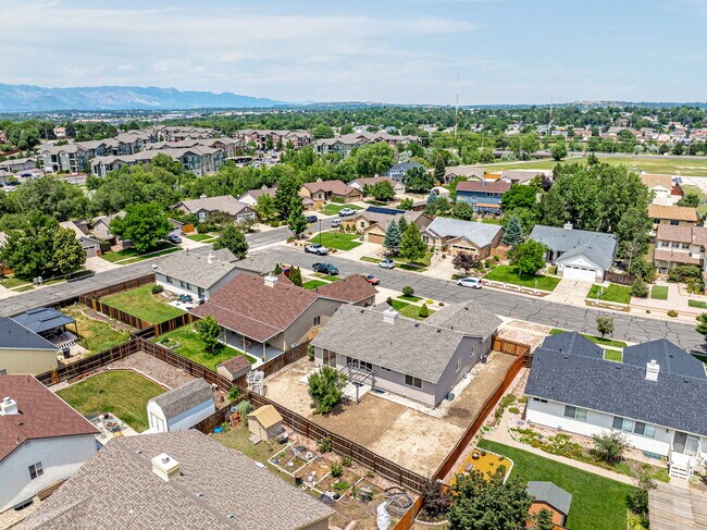 Building Photo - 4535 Star Ridge Dr