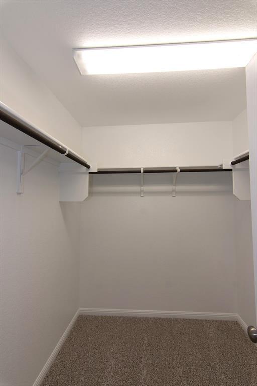Building Photo - 100 Flat Creek Ct