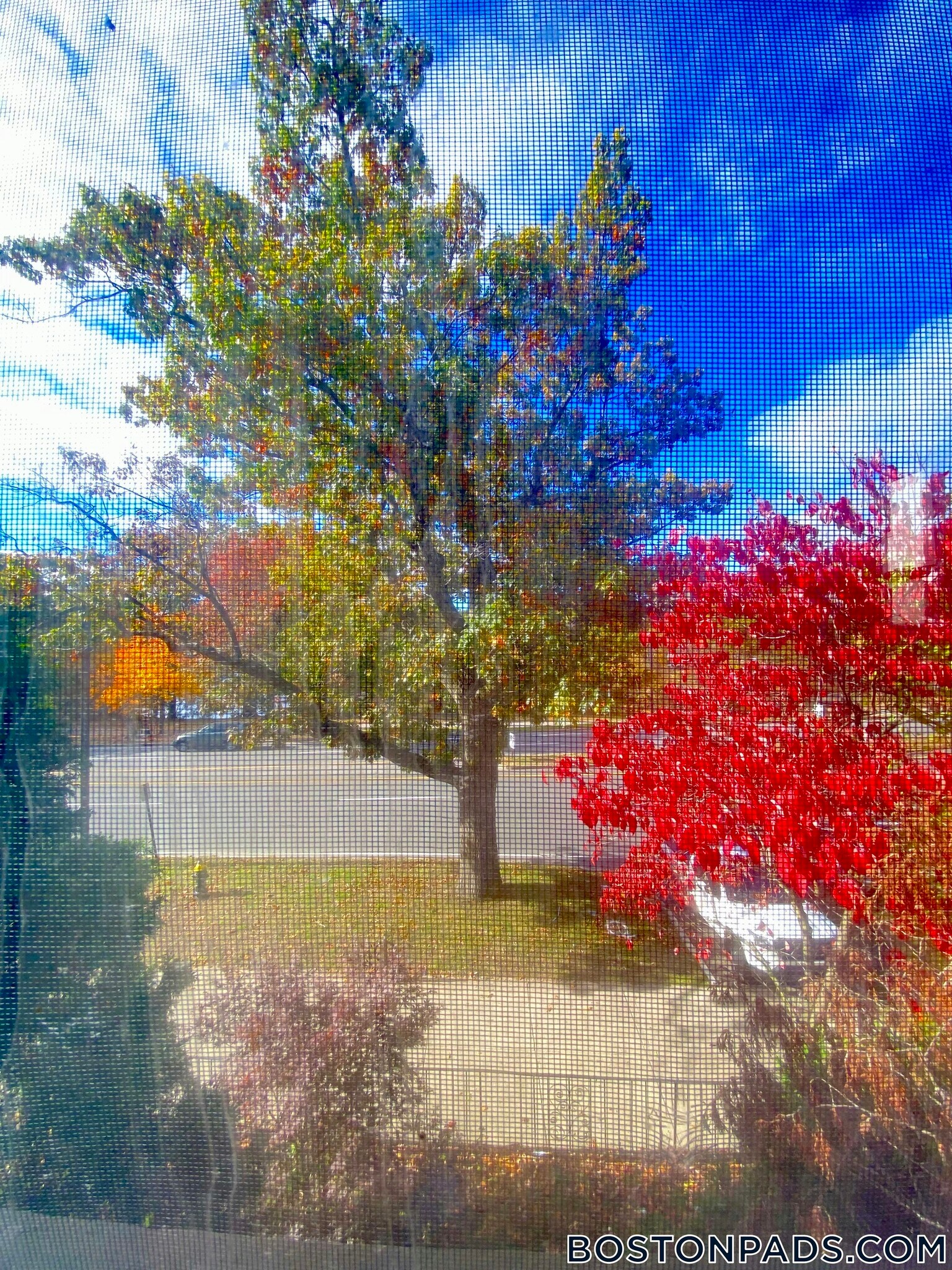 Building Photo - 70 Jamaicaway