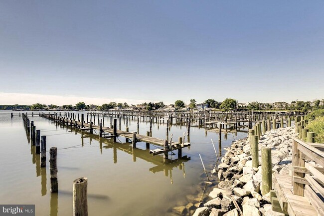Building Photo - 8225 Secluded Cove Ln