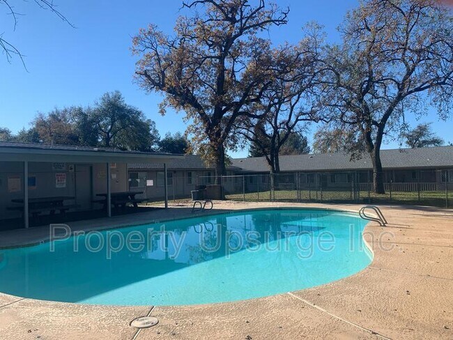 Building Photo - 3629 Bechelli Ln