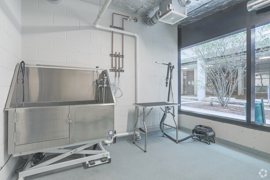 Dog Grooming - Albion Oak Park