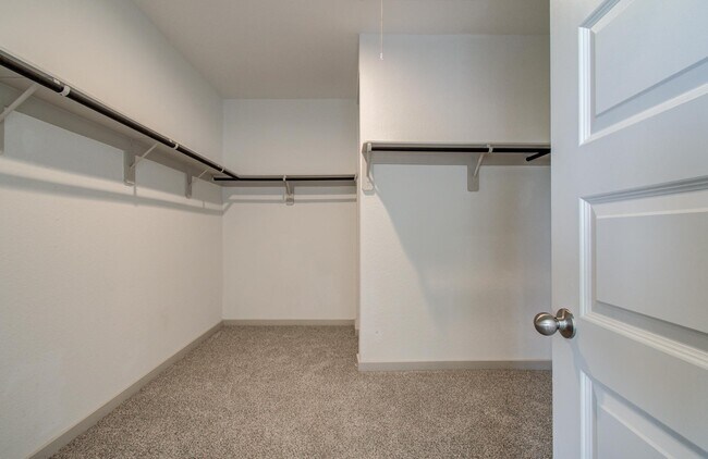 Building Photo - 14506 Rain Tree Dr