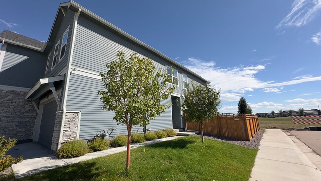 Building Photo - Great Townhome in Timnath Lakes