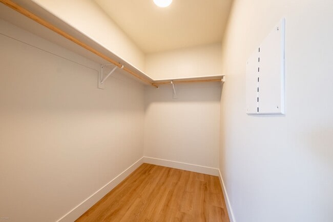 Building Photo - 2 bed 1 bath  Modern Apartment - 1025 sqft
