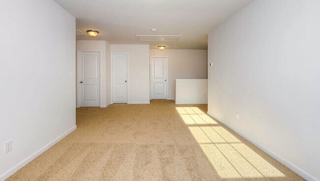 Building Photo - Spacious Newer Construction In Candler
