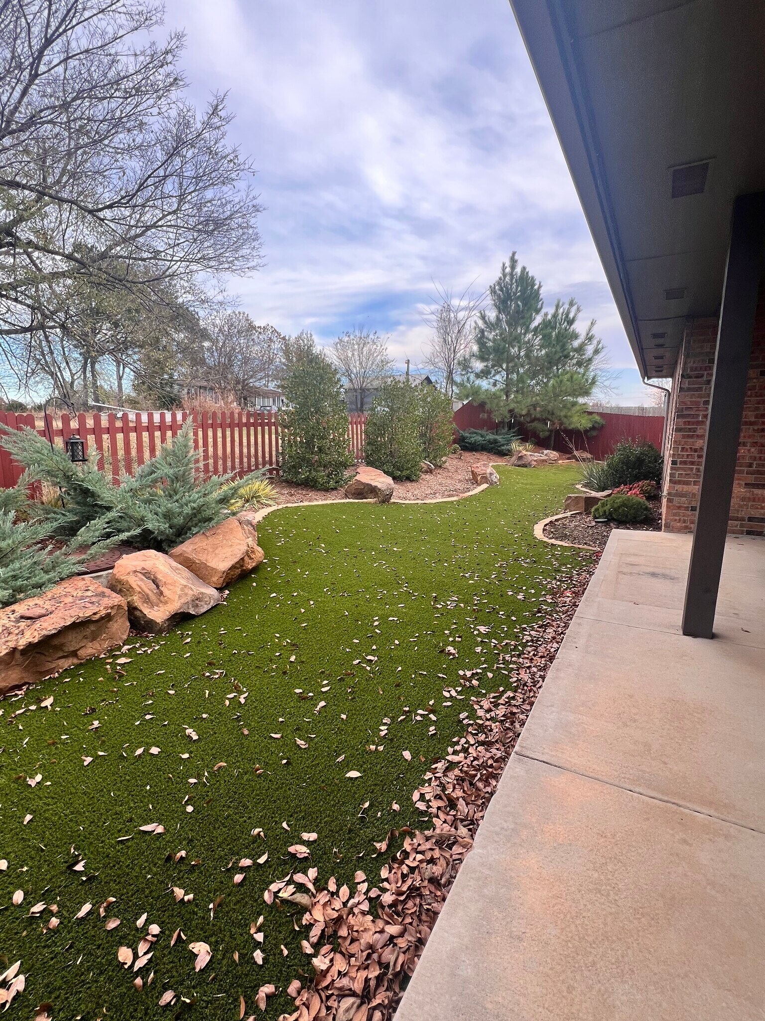 Backyard - 14516 Park Cir