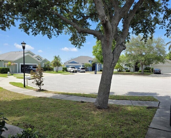 Building Photo - 10805 Australian Pine Dr