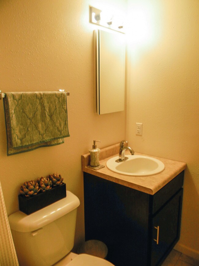 University Mall (Carbondale, Illinois)