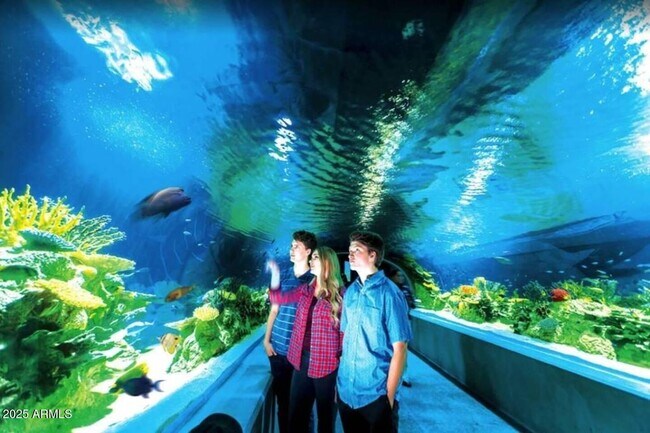 Building Photo - 8447 E Sheridan St