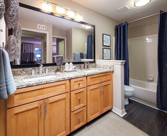 Cortland Mirror Lake Apopka Fl Apartment Finder